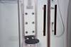 Platinum DZ905A Corner Steam Shower